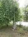 Wegkreuz