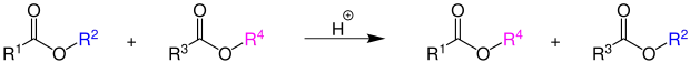 säurekatalysierte Umesterung von zwei Carbonsäuren