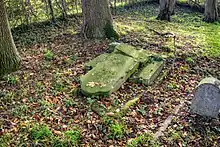 Umgestürzter Grabstein