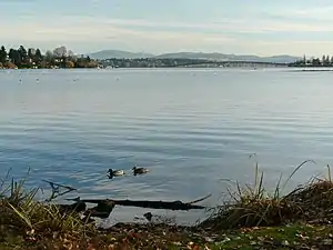 Die Union Bay von der Union Bay Natural Area aus mit Laurelhurst, der Evergreen Point Floating Bridge und dem Madison Park (v. l. n. r.) im Hintergrund