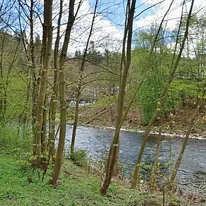 Eschbachtal bei Unterburg, Solingen-Burg,