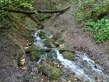 Der Ursprung des Weißen Kochers bei Unterkochen