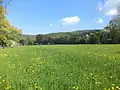Im unteren Kahlgrundbei Alzenau