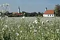 Kapelle Mariä Heimsuchung und Pfarrkirche St. Johannes der Täufer in Unterigling