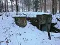 Sumpf A 4914, Buchhoger