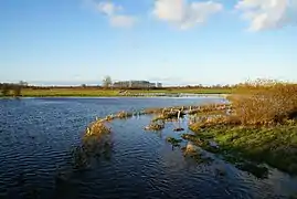 Rönnehochwasser (2010)