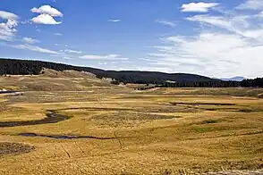 Hayden Valley