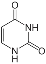 Uracil