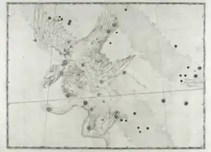 Aus der Uranometria von Johann Bayer.