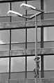 Urban Climber