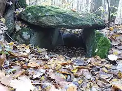 Kammer