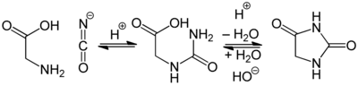 Synthese von Hydantoin aus Glycin und Isocyanat (Urech-Synthese)