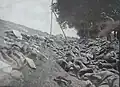 Leichen von russischen Soldaten bei Usdau