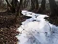 Váraljai-árok im Winter