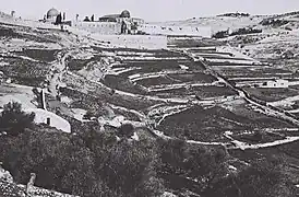 Foto (1910)