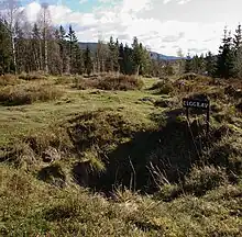 Reste einer Fallgrube für Elche im Außenbereich des Valdres Folkemuseums