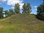 Grabhügel Stadskulle