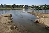 Die Rheinmündung in Vallendar