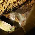 Unterirdischer Fluss (Orbe)
