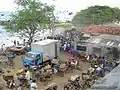 Isuzu Elf auf dem Fischmarkt von Valvettithurai (Sri Lanka)