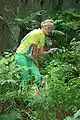OL-Anzüge schützen gegen dichte Vegetation