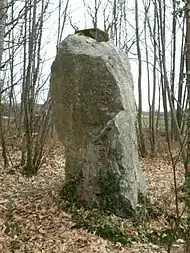 Menhir von La Drouetterie