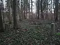Stackelberg Friedhof