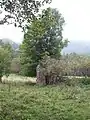 Vejprty-Grund, Ruinen an der ehemaligen Jöhstädter Straße (2017)