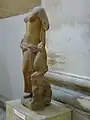 Venus mit Delphin