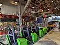 „Verbolten“Zierer Elevated Seating Launch Coasterin Bush Gardens Williamsburg