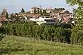 Verduno, Blick von Süden
