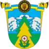 Wappen von Rajon Werchowyna