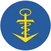 Verwendungsabzeichen Sanitätsdienst (81er)