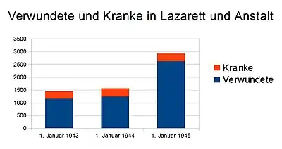 Verwundete und Kranke in Lazarett und Anstalt zwischen 1943 und 1945