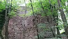 Überreste der Burg Türkstein