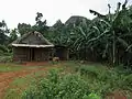 Farm in der Umgebung von Viñales.