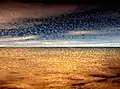 Videowatercolor Skyscape 2003