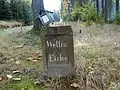 Viertelmeilenstein Wettineiche1