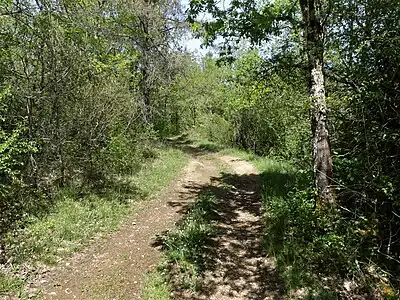Der Fernwanderweg GR 36 nördlich von La Salle