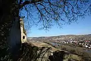 Blick von der Ruine auf den Main