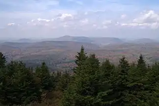 Blick vom Spruce Knob-Aussichtsturm