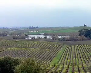 Teil der Herkunftsbezeichnung Los Carneros