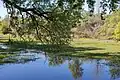 Oxbow Lake, ein abgeschnittener Flussarm des Sacramento River