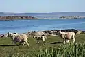 Gigalum, von Gigha aus