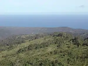 Blick über Iliomar II vom Ort Iliomar aus