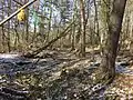Die ebene Fläche in der linken Bildhälfte war früher ein Teich