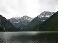 Rauhhornzug vom Vilsalpsee