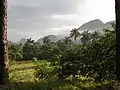 Valle de Viñales, das Viñalestal.