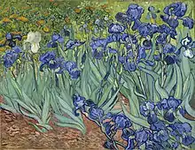 Vincent van Gogh:Iris