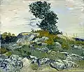 Vincent van Gogh:Les rochers, 1888